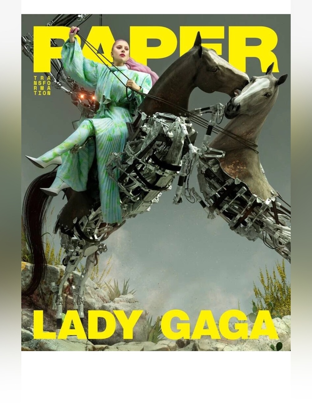 🆕 Paper Magazine Lady GaGa Cover No Label